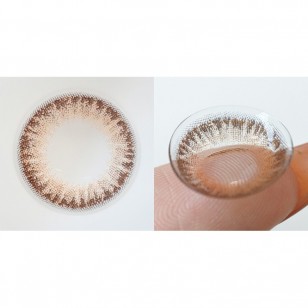 FLANMY Choco Tart 10片裝